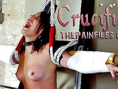 Painful Crucifixion